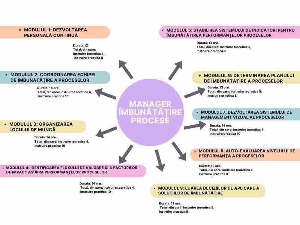 Curs Manager Îmbunătățire Procese- Sumar