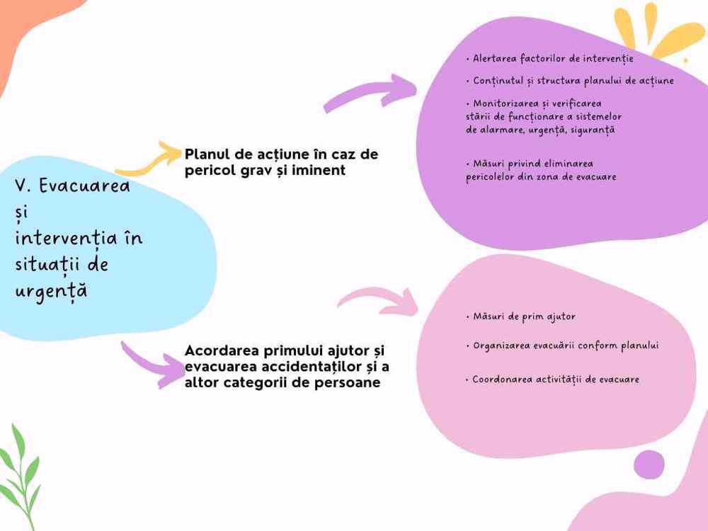 Sumar curs Inspector SSM