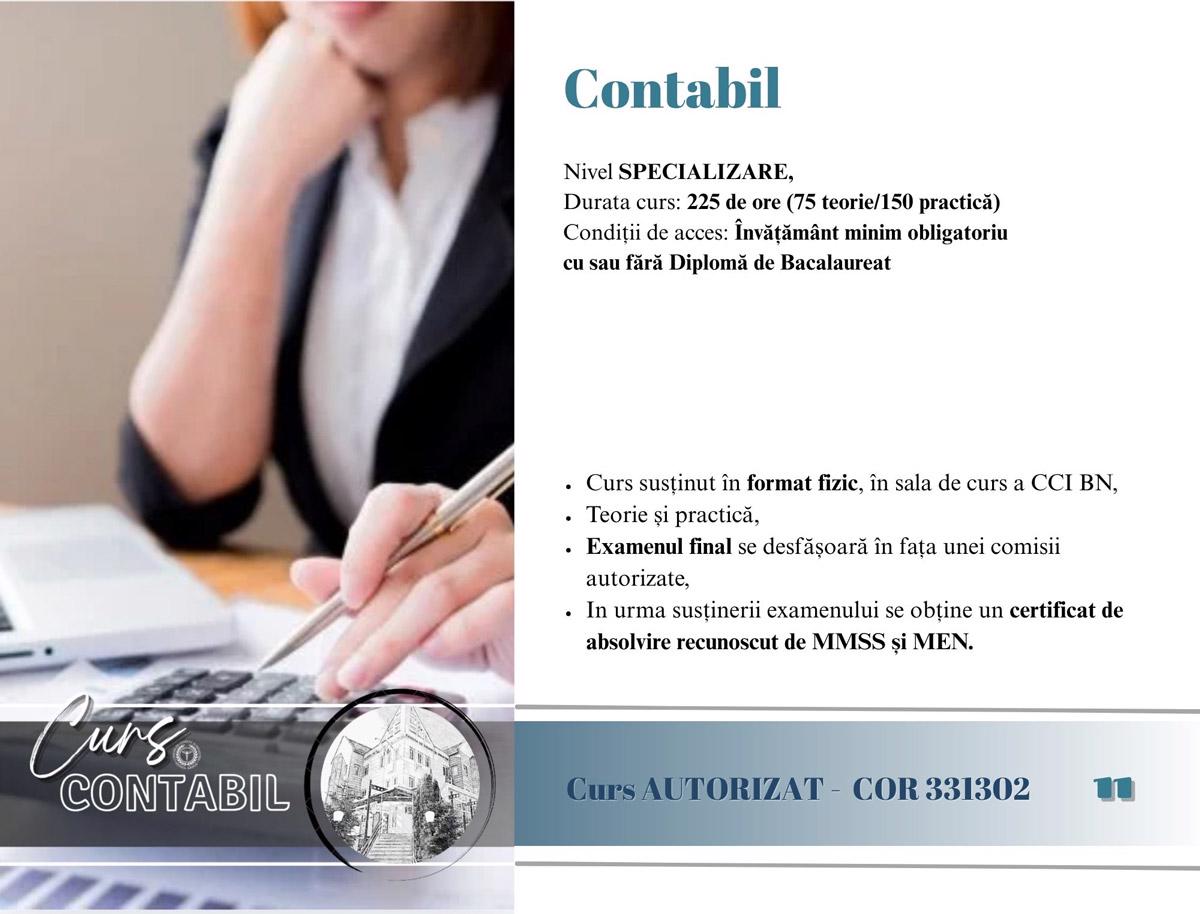 Curs contabil