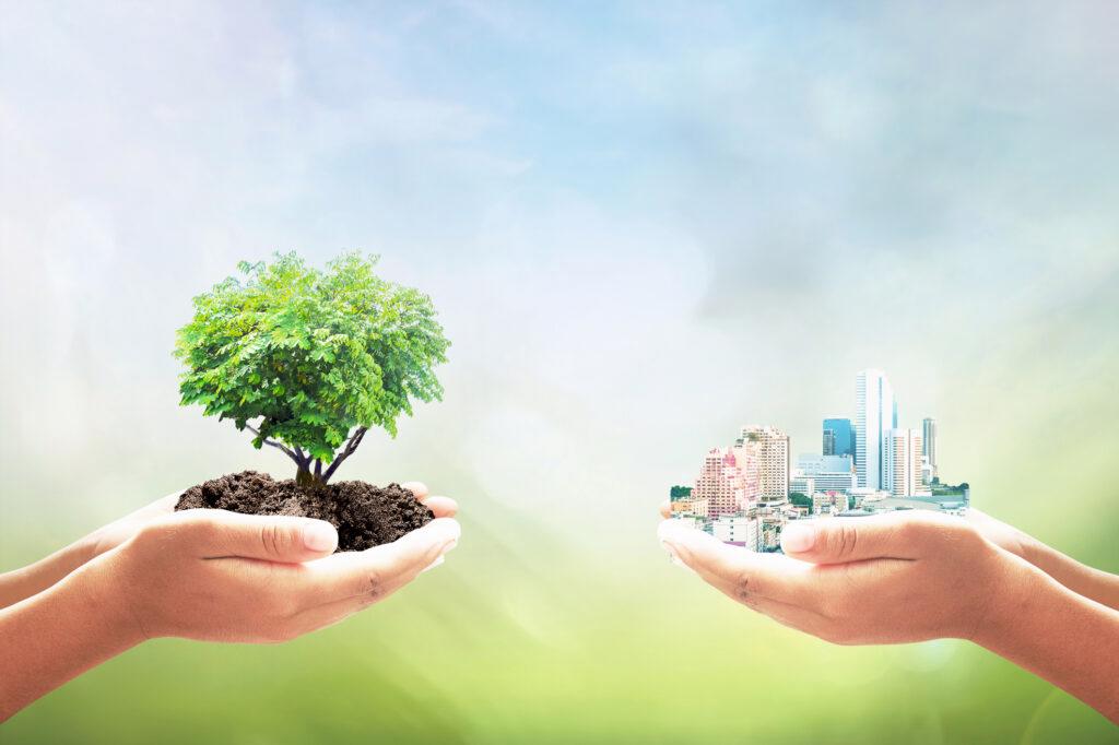 Dezvoltarea durabilă și sustenabilă a companiei - managementul schimbării și al tranziției către economia verde