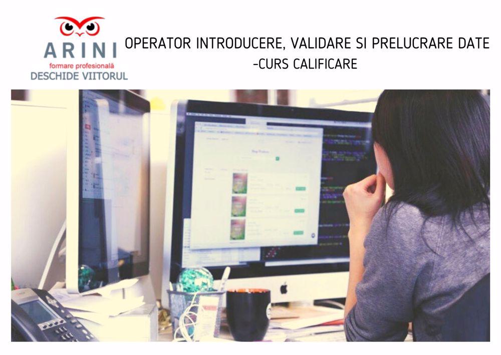 Operator introducere, validare si prelucrare date- ARINI