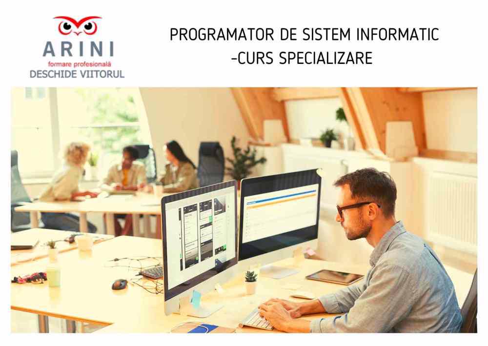 Programator de sistem informatic-ARINI